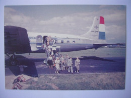 Avion / Airplane / KLM / Douglas DC-6 / Seen At Schiphol Airport, Amsterdam / Aéroport / Flughafen - 1946-....: Modern Tijdperk