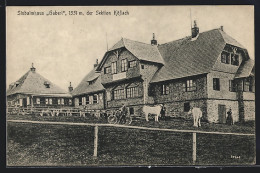 AK Köflach, Stubalmhaus Gaberl Mit Kühen  - Sonstige & Ohne Zuordnung