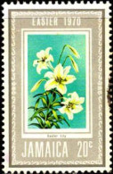 Jamaique Poste Obl Yv: 314 Mi:306 Eastar Lily (cachet Rond) - Jamaique (1962-...)