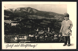 AK Wolfsberg, Stadtansicht Aus Der Vogelschau  - Sonstige & Ohne Zuordnung