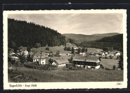 AK Regenhütte, Ortsansicht  - Regen