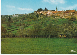 Sombernon - Vue Sur Les Vieux Quartiers Et Les "Perce-Neige" - Otros & Sin Clasificación