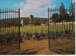 Gevrey-Chambertin - L'Eglise - Gevrey Chambertin