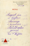 Menükarte, Apollinaris, Tafelwasser, Restaurant, Kulturverein Nürnberg, 19. Dezember 1908 - Menükarten