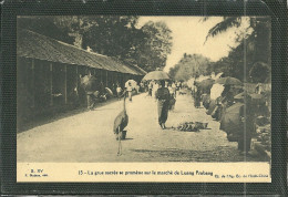 LA GRUE SACREE SE PROMENE SUR LE MARCHE DE LUANG PRABANG (ref 2303) - Laos