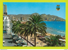 Espagne Alicante BENIDORM N°41 La Plage Du Levant Peugeot 404 Citroën 2CV Camionnette Fiat 850 VW Käfer Pédalos VOIR DOS - Alicante