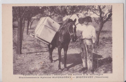 Montfavet Vaucluse Transport Des Ruches à La Montagne Etablissements Apicoles Alphandéry Ruche Abeille Apiculture - Other & Unclassified