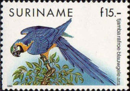 Suriname Poste N** Yv:1211 Mi:1357 Tjamba Rafroe-Blauwgele Ara Ara (Dent 1 Peu Courte) - Surinam