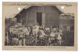 21 - NUITS-SAINT-GEORGES - Jus De Raisins Challand - Les Vaucrains Propriétaires - 1913 - Nuits Saint Georges