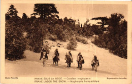 MAROKKO / IFRANE - Autres & Non Classés