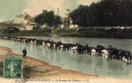 Châlons Sur Marne - Le Brossage Des Chevaux - Châlons-sur-Marne