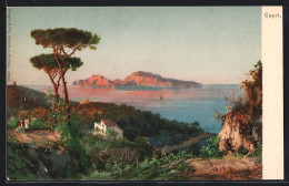 Artista-Cartolina Capri, Haus Und Landschaft Mit Blick Aufs Meer  - Altri & Non Classificati