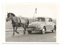 CPA  La Voiture (Volkswagen ) à Un Cheval 1973  Francis STOPPELMAN.   Non écrite      (1675) - Sonstige & Ohne Zuordnung