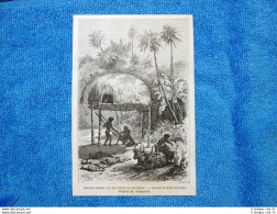 Gravure Année 1862 - Grenier Sur Les Bords De Nil Blanc - Soffitta Nilo Bianco - Before 1900