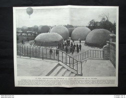 Festival Aeronautico Tuileries Per La Calabria + E.Loubet,Spagna Stampa Del 1905 - Otros & Sin Clasificación