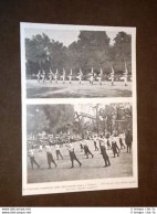 Torino Concorso Nazionale Di Educazione Fisica O Ginnastica Esercizi Squadre - Before 1900