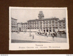 Rara Stampa Dei Primi Del 1900 Piazza Grande E Palazzo Municipale - Trieste - Otros & Sin Clasificación