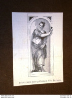 Suonatrice Galleria Di Villa Barbaro Basadonna Manin Giacomelli Volpi - Vor 1900