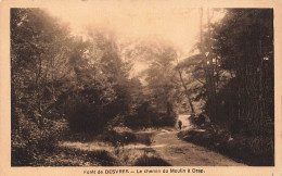 FRANCE - Desvres - Forêt - Le Chemin Du Moulin à Drap - Carte Postale Ancienne - Desvres