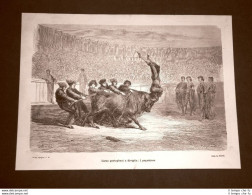 Incisione Di Gustave Dorè Del 1874 Combattimento Tori Pegadores Spagna Davillier - Vor 1900