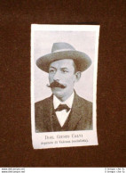 Deputato Nel 1905 Dottor Giusto Calvi Di Valenza - Autres & Non Classés