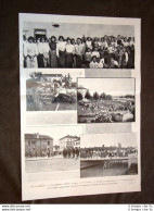 Ferrara Nel 1903 Sciopero Agrario Nelle Campagne Agricoltori In Agitazione - Altri & Non Classificati