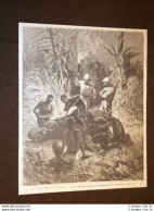 Mpwapwa Caccia All'ippopotamo Decapitazione Tanzania - Before 1900
