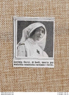 WW1 Prima Guerra Mondiale 1914-1918 Caduta Per La Patria Lavinia Corvi Di Lodi - Altri & Non Classificati