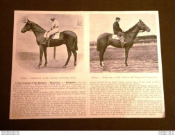 Corse Cavalli Nel 1903 Roma Derby Reale Esquilino Milano Gran Premio Keepsake - Autres & Non Classés