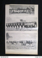 L'esercito Malgascio, A Vatomandry In Madagascar Incisione Del 1894 - Voor 1900