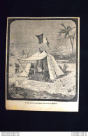 Tenda Del Corrispondente Del Secolo A Massaua Incisione Del 1885 - Voor 1900