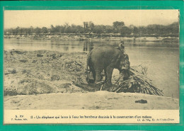 INDO-CHINE - UN ELEPHANT QUI LANCE A L' EAU LES BAMBOUS ..... (ref 2293) - Viêt-Nam