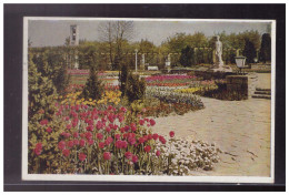 Dt- Reich (024199) Postkarte, Reichsgartenschau Essen 1938, Teilstück A.D. Grossen Blumenhof, Gelaufen Essen - Brieven En Documenten