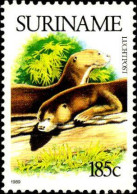 Suriname Avion N** Yv: 99 Mi:1290 Loutre - Sonstige & Ohne Zuordnung