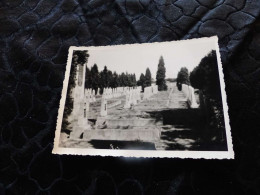 P-722 , Photo , Camp Sagan, Pologne, Cimetière Russe , 1965 - War, Military