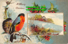 R356919 A Merry Christmas. 1907. Greeting Card - World