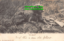 R356554 On Guard. Dog. The Wrench Series. No. 1867. Photo Reid. 1906 - Monde