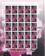Polynésie N°956 - Feuille Entière - Neufs ** Sans Charnière - TB - Unused Stamps