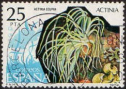 Espagne Poste Obl Yv:2177 Mi:2427 Actinia Actinia Equina (TB Cachet Rond) - Gebraucht