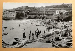 83 - VAR -  CARQUEIRANNE - CPSM 2 - La Plage  - éd ARIS - Carqueiranne