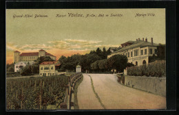 AK Vöslau /N.-Oe., Strassenpartie Mit Dem Grand-Hotel Bellevue Und Der Marien-Villa  - Sonstige & Ohne Zuordnung