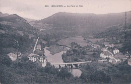 Goumois JU, Le Pont Et L'Ile (783) - Goumois