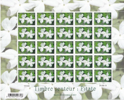 Polynésie N°1034 - Feuille Entière - Neufs ** Sans Charnière - TB - Unused Stamps