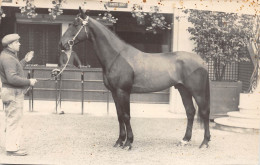 Présentation De L' Étalon FUSHIA VII Vendu Aux Haras Nationaux, Propriétaire Marcel LESGUILLONS 1955 Carte Photo - Paarden