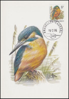 CM/MK - 2240° - Martin Pêcheur / Ijsvogel / Eisvogel / Kingfisher - BXL/BSL - 15-12-1986 - BUZIN - 1985-.. Vogels (Buzin)