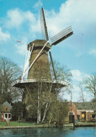 CPM . LOENEN A.D. UTRECHTSE VECHT  .  MOLEN DE HOOP  .  CARTE ECRITE AU VERSO - Autres & Non Classés