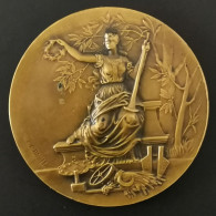 MEDAILLE POINCON BRONZE 50mm 45.3g - Autres & Non Classés