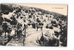 Dunes Avec Semis - Equipe De Maurice En 1905 - Très Bon état - Otros & Sin Clasificación