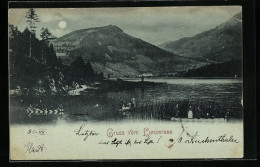 Mondschein-AK Lunz Am See, Partie Am Lunzersee, Mit Uferstrasse Und Booten  - Sonstige & Ohne Zuordnung