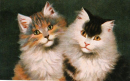 2 Chats - Cats -katzen -2  Poezen Répro Sperlich - Chats